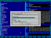 Recover Windows Product Key With Emergency Boot Kit - Registry Key Export Dialog