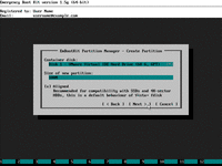 Rebuild EFI System Partition From Scratch - Set size of new system partition