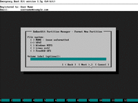 Rebuild EFI System Partition From Scratch - Set filesystem type and volume label of new system partition