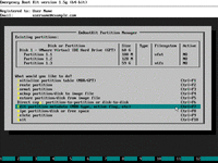 Rebuild EFI System Partition From Scratch - Edit partition metadata