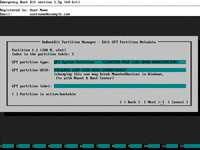 Rebuild EFI System Partition From Scratch - Applying changes to GPT partition metadata