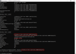 Workaround for error 0x80300024: Step 6 (UEFI)