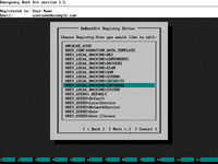 Emergency Boot Kit - Choosing Registry Hive to Edit